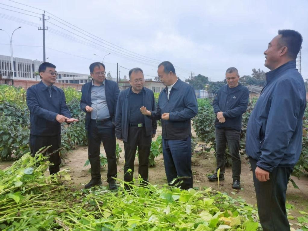 常宏赴庆阳市陇东紫苏西峰试验基地调研指导工作