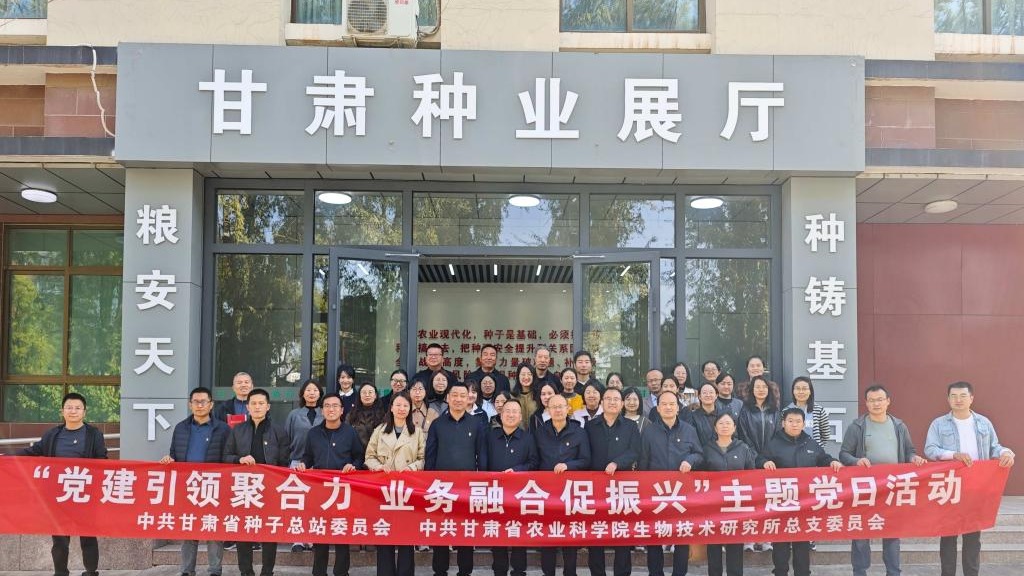 党建引领聚合力  业务融合促振兴